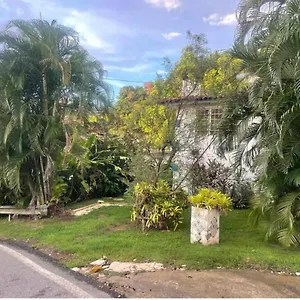 Jungle Bungalow Studio In Apartment Rincon